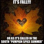 Contrary to the contrary weather outside... | IT’S FALL!!! OR AS IT’S CALLED IN THE SOUTH “PUMPKIN SPICE SUMMER” | image tagged in autumn,seasons,fall,heat | made w/ Imgflip meme maker