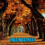 Autumn leaves | FALL HAS FELL! | image tagged in autumn leaves | made w/ Imgflip meme maker