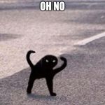 Cursed Cat | OH NO | image tagged in cursed cat | made w/ Imgflip meme maker