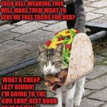 TACO KITTY | I'M GONNA KILL THAT STUPID WRETCHED HUMAN OF MINE! SHE THINKS ME WALKING INTO A TACO BELL WEARING THIS WILL MAKE THEM WANT TO GIVE ME FREE TACOS FOR HER? WHAT A CHEAP, LAZY BIMBO! I'M GOING TO THE GUN SHOP NEXT DOOR TO TACO BELL & GETTING ME A GUN TO END HER! I'VE HAD IT! TIME TO DIE BIMBO! | image tagged in taco kitty | made w/ Imgflip meme maker