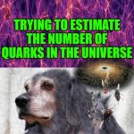 trying to estimate the number of quarks in the universe | TRYING TO ESTIMATE THE NUMBER OF QUARKS IN THE UNIVERSE | image tagged in trying to estimate the number of quarks in the universe | made w/ Imgflip meme maker