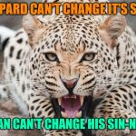 A Leopard Can't Change It's Spots | A LEOPARD CAN'T CHANGE IT'S SPOTS; AND MAN CAN'T CHANGE HIS SIN-NATURE! | image tagged in a leopard can't change it's spots | made w/ Imgflip meme maker