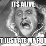 It's alive! | ITS ALIVE; AND IT JUST ATE MY POTATOS | image tagged in it's alive | made w/ Imgflip meme maker