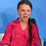 Greta Thunberg how dare you meme