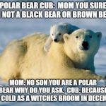 Polar Bears | POLAR BEAR CUB:  MOM YOU SURE I AM NOT A BLACK BEAR OR BROWN BEAR? MOM: NO SON YOU ARE A POLAR BEAR WHY DO YOU ASK.  CUB: BECAUSE I AM COLD AS A WITCHES BROOM IN DECEMBER | image tagged in polar bears | made w/ Imgflip meme maker