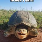 You don't say turtle | YA DON'T SAY!! | image tagged in you don't say turtle | made w/ Imgflip meme maker