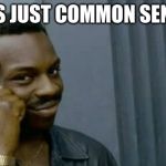 Yoink | IT'S JUST COMMON SENSE | image tagged in yoink | made w/ Imgflip meme maker