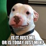 Im like mehe | IS IT JUST ME, OR IS TODAY JUST MEH? | image tagged in im like mehe | made w/ Imgflip meme maker