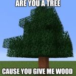 Minecraft Tree | ARE YOU A TREE; CAUSE YOU GIVE ME WOOD | image tagged in minecraft tree | made w/ Imgflip meme maker