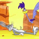 roadrunner & bugs