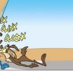 roadrunner & coyote