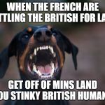 angry doberman | WHEN THE FRENCH ARE BATTLING THE BRITISH FOR LAND GET OFF OF MINS LAND YOU STINKY BRITISH HUMANS | image tagged in angry doberman | made w/ Imgflip meme maker