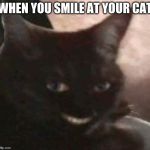 abcdefyee | WHEN YOU SMILE AT YOUR CAT | image tagged in abcdefyee | made w/ Imgflip meme maker