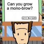 tim moby | Can you grow a mono-brow? FROM PUFFLE; I JUST DID | image tagged in tim moby | made w/ Imgflip meme maker