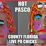 Dan The Man Hulbert New Port Richey Florida USA | HOT 
PASCO; COUNTY FLORIDA
LIVE PD CHICKS | image tagged in dan the man hulbert new port richey florida usa | made w/ Imgflip meme maker