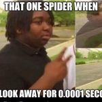 peace sign disappearing | THAT ONE SPIDER WHEN; YOU LOOK AWAY FOR 0.0001 SECONDS | image tagged in peace sign disappearing | made w/ Imgflip meme maker