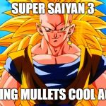 Super Mullet 3 | SUPER SAIYAN 3; MAKING MULLETS COOL AGAIN | image tagged in super saiyan 3 goku | made w/ Imgflip meme maker