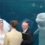 Whale wedding