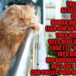 MURDER PLOT | THIS WILL BE EASY! I'LL GET THE HUMAN DRUNK & LEAD HIM OUT HERE; THEN WHEN HE GETS HERE BY THE EDGE I'LL "BUMP" INTO HIM & IN HIS DRUNKENNESS HE'LL FALL THEN I CAN COLLECT HIS MONEY! | image tagged in murder plot | made w/ Imgflip meme maker