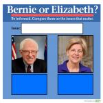 Bernie or Warren