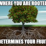 fruit tree | WHERE YOU ARE ROOTED; DETERMINES YOUR FRUIT | image tagged in fruit tree | made w/ Imgflip meme maker