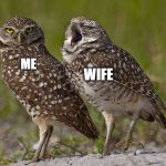 ME; WIFE | image tagged in talking,wife | made w/ Imgflip meme maker