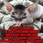 GREMLIN | I'M NOT A GREMLIN I'M A CAT YOU DUMB HUMAN! AND I'M NOT UGLY AND JUST FOR THAT I'M TAKING THE WHOLE BED & YOU CAN SLEEP ON THE FLOOR! | image tagged in gremlin | made w/ Imgflip meme maker