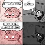 I would have liked to slept longer this morning, but the little bloodsucker had other ideas | TRYING TO SLEEP? DID YOU HEAR THAT MOSQUITO? YES, NOW GO AWAY | image tagged in trying to sleep | made w/ Imgflip meme maker