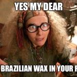 funny harry potter professor | YES MY DEAR; I SEE A BRAZILIAN WAX IN YOUR FUTURE | image tagged in funny harry potter professor | made w/ Imgflip meme maker