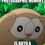 I have to live with it, unfortunately | WHEN HAVING A PHOTOGRAPHIC MEMORY; IS BOTH A BLESSING AND A CURSE | image tagged in rowlet pokemon meme | made w/ Imgflip meme maker