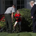 Trump Kid Mow lawn meme