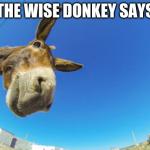 Wise Donkey Says meme
