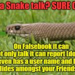 Snakes | Can a Snake talk? SURE CAN. On Falsebook it can not only talk it can report (dob) and even has a user name and hides and slides amongst your Friends List! Yarra Man | image tagged in snakes | made w/ Imgflip meme maker
