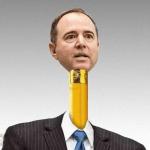 Pencil neck schiff