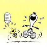 Snoopy and Woodstock laughing