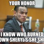 Takashi Sheryl's She Shed | YOUR HONOR; I KNOW WHO BURNED DOWN SHERYL'S SHE SHED | image tagged in takashi69,she shed | made w/ Imgflip meme maker