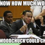 Tekashi snitching | I KNOW HOW MUCH WOOD; THE WOODCHUCK COULD CHUCK | image tagged in tekashi snitching | made w/ Imgflip meme maker