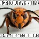 wasp | ME BUGGED OUT WHEN I REALIZE; I GOT HOMEWORK TO DO IN THE MORNING | image tagged in wasp | made w/ Imgflip meme maker