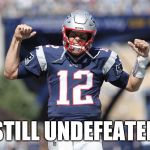 Undefeated Patriots | STILL UNDEFEATED | image tagged in new england patriots | made w/ Imgflip meme maker