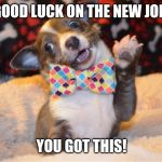 new job | GOOD LUCK ON THE NEW JOB; YOU GOT THIS! | image tagged in new job | made w/ Imgflip meme maker