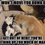 MY AIR | NO I WON'T MOVE YOU DUMB DOG! GET OUT OF HERE! YOU'RE BREATHING UP TOO MUCH OF MAH AIR | image tagged in my air | made w/ Imgflip meme maker