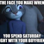 Saturday Night in Zootopia | THE FACE YOU MAKE WHEN; YOU SPEND SATURDAY NIGHT WITH YOUR BOYFRIEND | image tagged in judy hopps biting lip,zootopia,judy hopps,nick wilde,the face you make,romantic | made w/ Imgflip meme maker