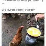 motherclucker | image tagged in motherclucker | made w/ Imgflip meme maker