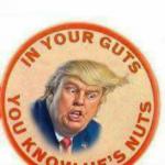 Trump - in your guts you know he's nuts meme