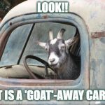 GoatDriving | LOOK!! IT IS A 'GOAT'-AWAY CAR!! | image tagged in goatdriving | made w/ Imgflip meme maker