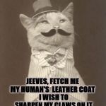 JEEVES | JEEVES, FETCH ME MY HUMAN'S  LEATHER COAT; I WISH TO SHARPEN MY CLAWS ON IT | image tagged in jeeves | made w/ Imgflip meme maker