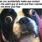 I hope I’m convincing | When you accidentally make eye contact with the weird guy at work and then maintain it to not show your fear | image tagged in eyes wide open terrier,memes,funny,work humor,did i make it worse,dogs | made w/ Imgflip meme maker