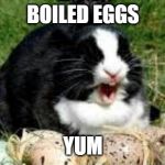 Ermehgerd | BOILED EGGS; YUM | image tagged in ermehgerd | made w/ Imgflip meme maker