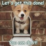 you got this Corgi | Let's get this done! You can do it! | image tagged in you got this corgi | made w/ Imgflip meme maker