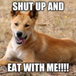 Dingo | SHUT UP AND; EAT WITH ME!!!! | image tagged in dingo | made w/ Imgflip meme maker